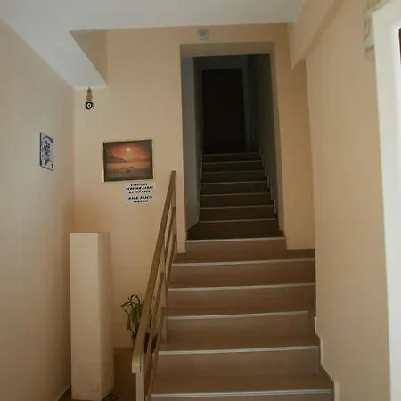 Carey קיטן